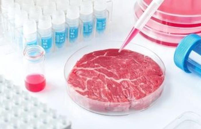 حظر اللحوم المصنعة مخبرياً في الولايات المتحدة قد يكون «هدفاً عكسياً»