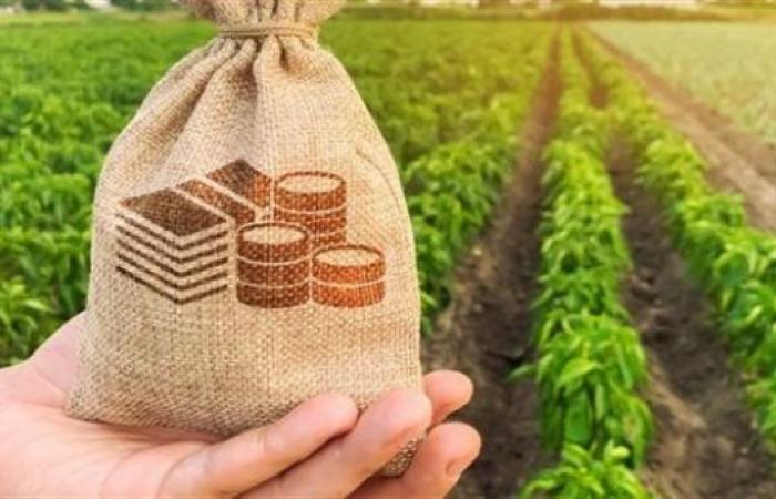 اهتمام الهيئة العربية للاستثمار والإنماء الزراعي|تقاصيل - بوراق نيوز
