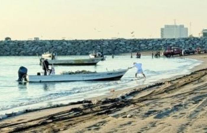 تخصيص منطقة لتجفيف الأسماك في الفجيرة - بوراق نيوز