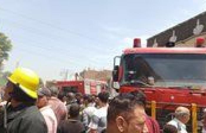 نفوق 31 رأس ماشية في حريق بجوار جامعة الأزهر بأسيوط - بوراق نيوز