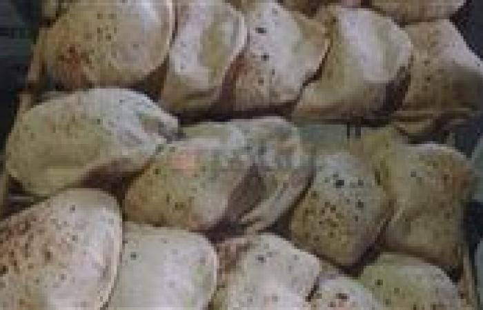 المنيا تطبق سعر الخبز المدعم الجديد.. ورقابة صارمة على المخابز - بوراق نيوز