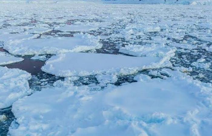 ذوبان جليدي غير مسبوق في القطب الجنوبي - بوراق نيوز