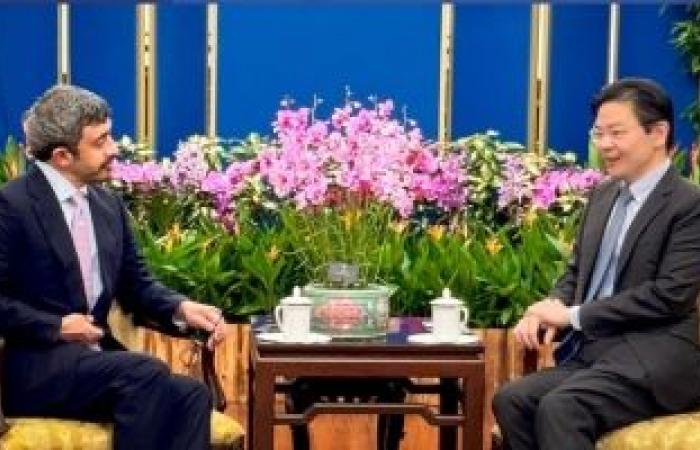 عبدالله بن زايد يلتقي رئيس وزراء سنغافورة - بوراق نيوز
