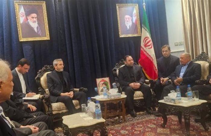 وزير الخارجية الإيراني يؤكد استمرار الدعم للمقاومة الفلسطينية - بوراق نيوز