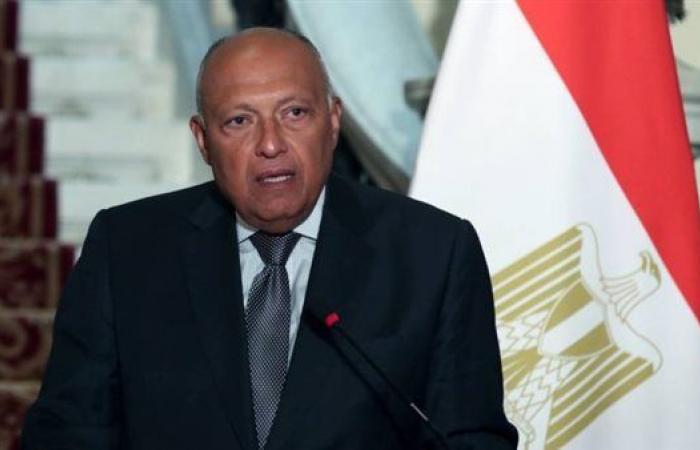 مباحثات مصرية قبرصية بالقاهرة على مستوى وزيري الخارجية اليوم - بوراق نيوز