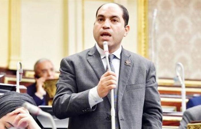 برلماني: مصر لديها تحديات منذ أكثر من 13 عام ونحمد الله على صمودنا - بوراق نيوز