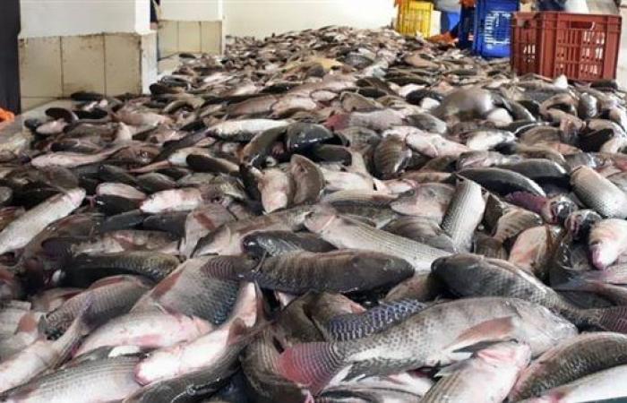 ارتفاع المرجان.. أسعار الأسماك اليوم الجمعة بسوق العبور للجملة والأسواق - بوراق نيوز