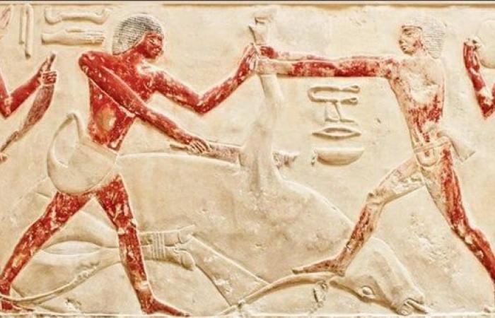 مذبح هليوبوليس الرباعي.. تاريخ الأضاحي في مصر القديمة | صور - بوراق نيوز
