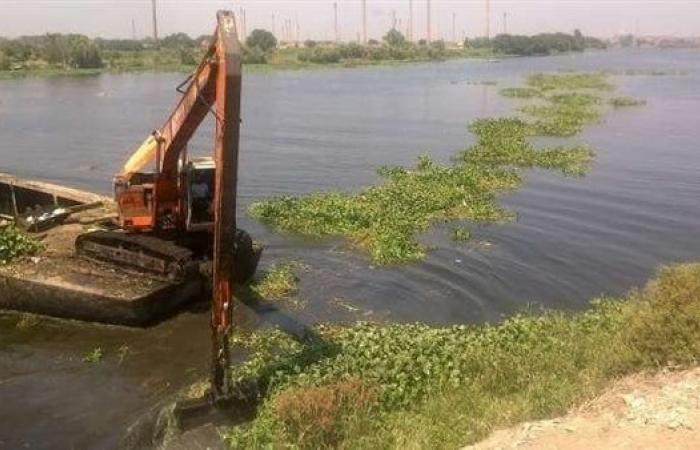 حقيقة وجود نبات جديد في النيل يضر بحصة مصر المائية - بوراق نيوز