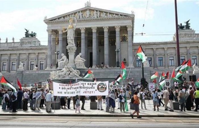 فيينا.. وقفة احتجاجية أمام البرلمان تندد بالهجمات الإسرائيلية على قطاع غزة (صور) - بوراق نيوز