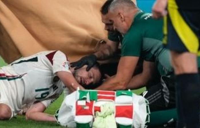 إصابة مروعة للاعب المجر في كأس أمم أوروبا (صور) - بوراق نيوز