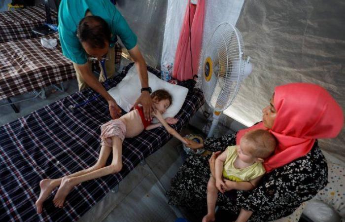تنديد إسرائيلي بتقرير يحذر من مجاعة في غزة - بوراق نيوز