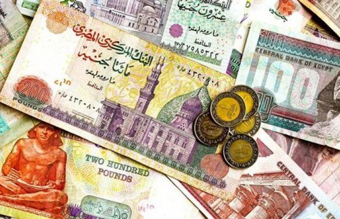 سعر العملات العربية مقابل الجنيه صباح اليوم - بوراق نيوز