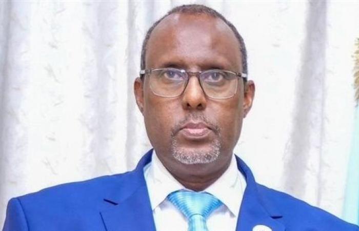 الصومال تهنئ مصر بذكرى ثورة 30 يونيو وتشيد بإنجازاتها في التنمية - بوراق نيوز