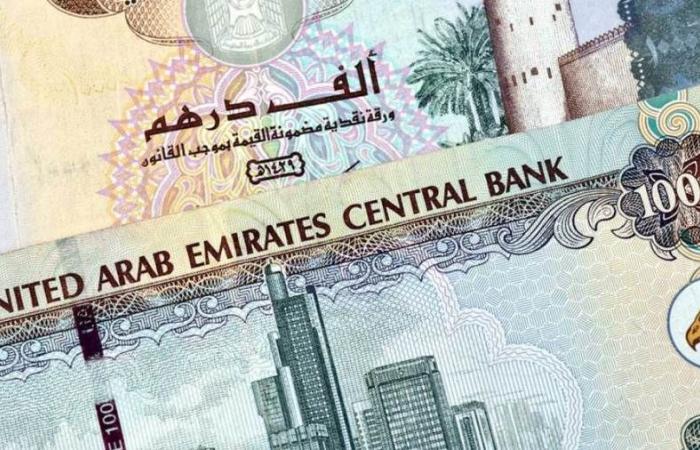 سعر الدرهم الإماراتي اليوم الأثنين 1-7-2024 في البنوك - بوراق نيوز