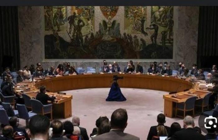 غدا.. مجلس الامن الدولي يعقد جلسة بشأن إعمار غزة - بوراق نيوز