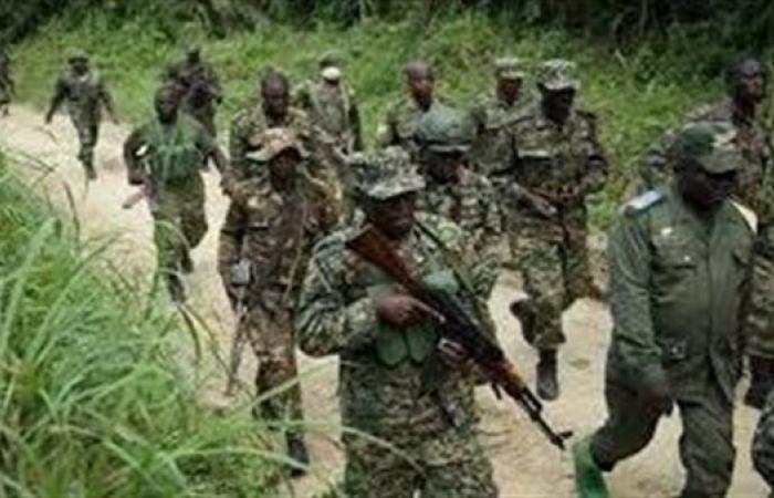 مقتل وإصابة 35 مسلحًا في قصف لمليشيات "كوديكو" بشرق الكونغو الديمقراطية - بوراق نيوز