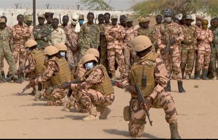 جيش تشاد يعلن تصفية 70 إرهابيا ينتمون لجماعة "بوكو حرام" - بوراق نيوز