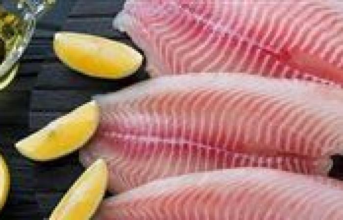 سعر السمك اليوم الأربعاء 3 - 7 – 2024 في السوق المصري - بوراق نيوز