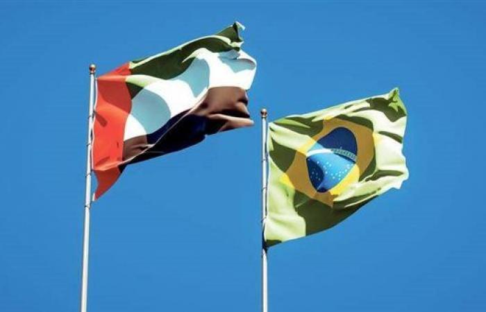 الإمارات والبرازيل تحتفلان بمرور 50 عامًا على إقامة العلاقات الدبلوماسية - بوراق نيوز