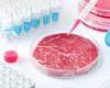 حظر اللحوم المصنعة مخبرياً في الولايات المتحدة قد يكون «هدفاً عكسياً»