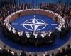 الناتو لا ينوي إرسال قوات إلى أوكرانيا - بوراق نيوز