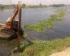 حقيقة وجود نبات جديد في النيل يضر بحصة مصر المائية - بوراق نيوز