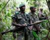 حركة «إم 23» المتمردة تواصل التقدّم في شرق الكونغو الديمقراطية - بوراق نيوز