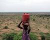 «الأمم المتحدة» توسع خطة الاستجابة الإنسانية للاجئين السودانيين في ليبيا وأوغندا - بوراق نيوز
