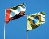 الإمارات والبرازيل تحتفلان بمرور 50 عامًا على إقامة العلاقات الدبلوماسية - بوراق نيوز