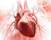 فيتامينات مهمة لتقليل أمراض القلب وإزالة الترسبات في الشرايين - بوراق نيوز
