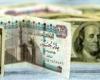 نائب رئيس مجلس الوزراء: الدولار في مصر سيصل إلى 10 جنيهات في هذه الحالة - بوراق نيوز