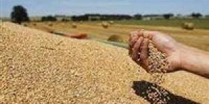 6.3 مليون طن.. صادرات أوكرانيا من الحبوب ترتفع في أبريل - بوراق نيوز