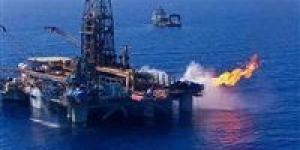 شركة إيناب سيبترول التشيلية تكشف خططها المستقبلية بقطاع البترول في مصر - بوراق نيوز