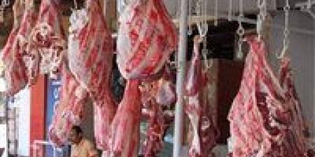 سعر اللحوم في السوق المصري اليوم الاثنين 20 - 5 – 2024 - بوراق نيوز
