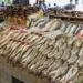 أسعار السمك اليوم السبت 18 مايو 2024 في الأسواق - بوراق نيوز