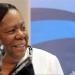 وزيرة خارجية جنوب إفريقيا: ما يحدث في فلسطين فصل عنصري - بوراق نيوز