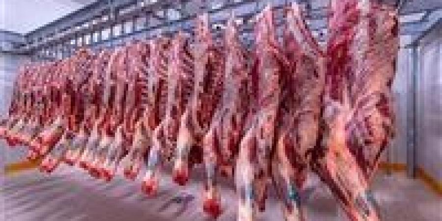 سعر اللحوم في السوق المصري اليوم الأحد 28 - 4 – 2024 - بوراق نيوز