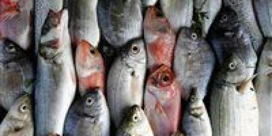 هل ستشهد أسواق الأسماك ارتفاعا مجددا في الأسعار.. باعة السويس يجيبون - بوراق نيوز